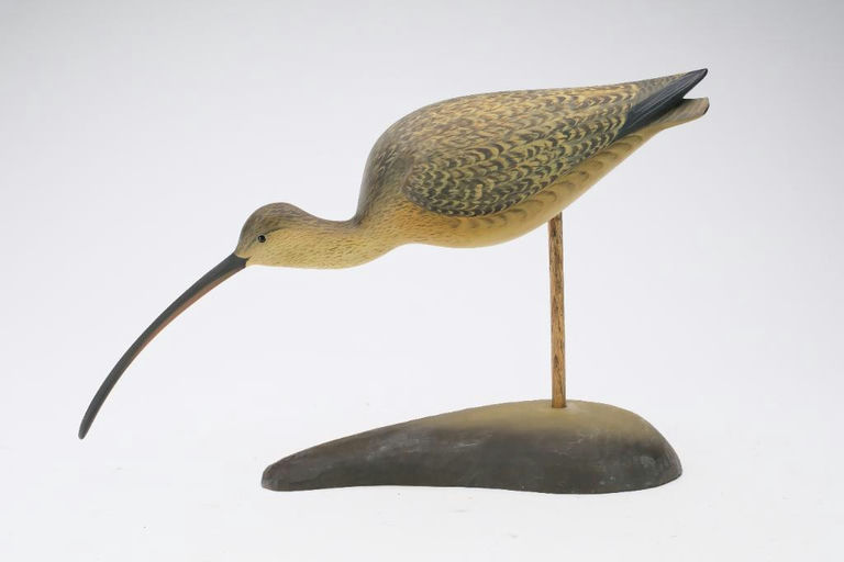 George Strunk – Curlew – 2024