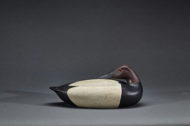 Charles Wells – Preening Canvasback Drake – 2017