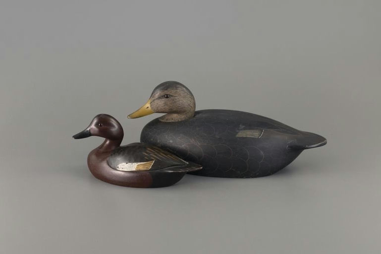 Ken Harris – Cinnamon Teal and Black Duck – 2025