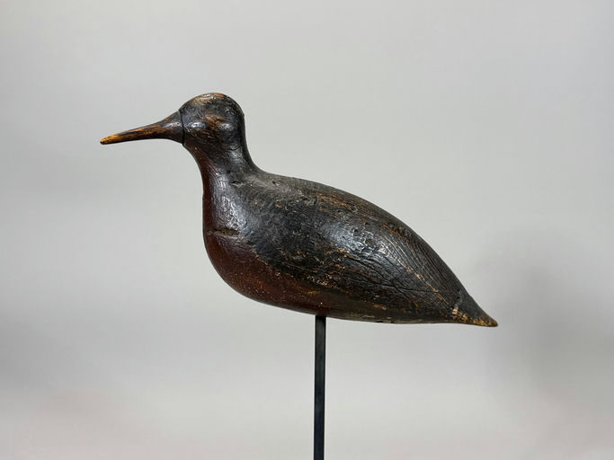 Joe King – Shorebird – 2026