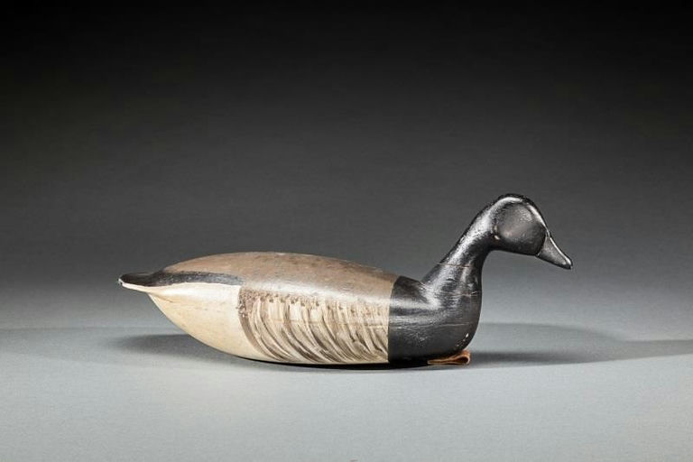 Chris Sprague – Swimming Brant – 2015