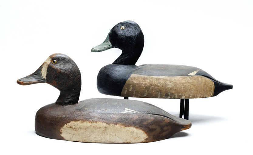 Chet Schutte – Scaup – 2026