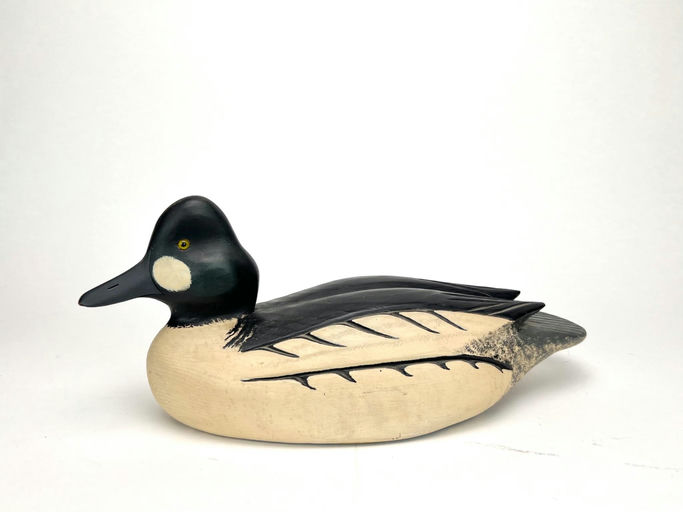 David Simandl — Goldeneye Drake