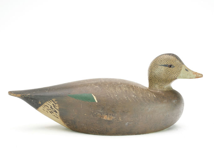 Keyes Chadwick – Wigeon – 2025
