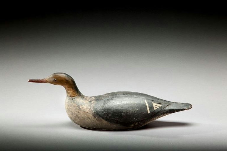 Luther M. Nickerson – Swimming Merganser Hen – 2014