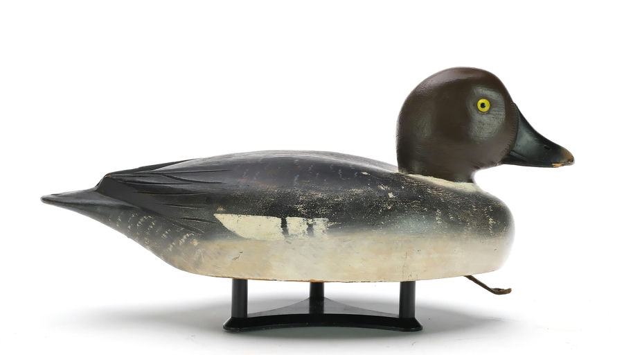 David W. Nichol – Goldeneye – 2024