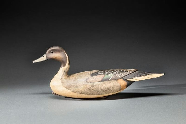 Bob White – Pintail Drake – 2015