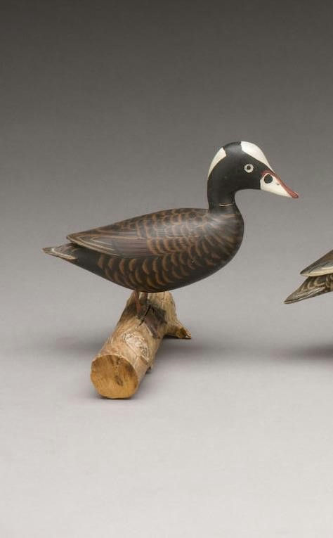 James Lapham – Miniature Surf Scoter – 2009
