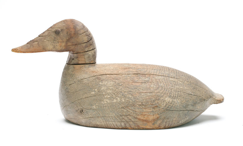 Ward Brothers – Early Canvasback – 2025
