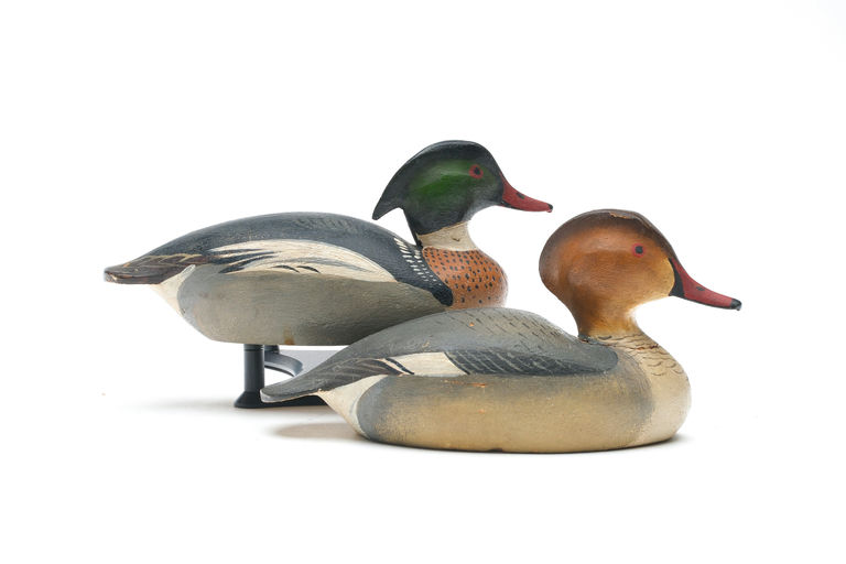 Ward Brothers – Pair of Red-breasted Merganser – 2026