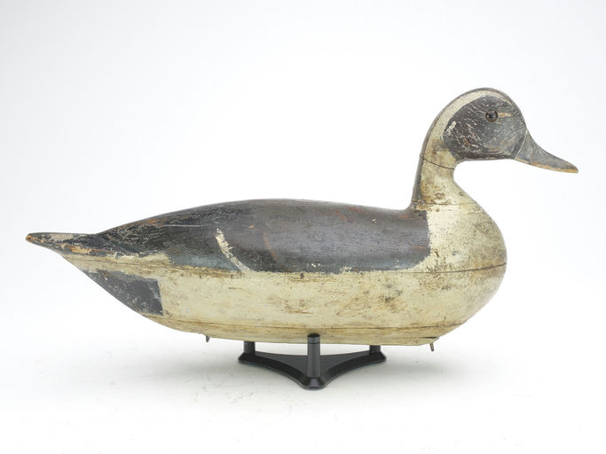 Charles Perdew – Pintail Drake – 2023