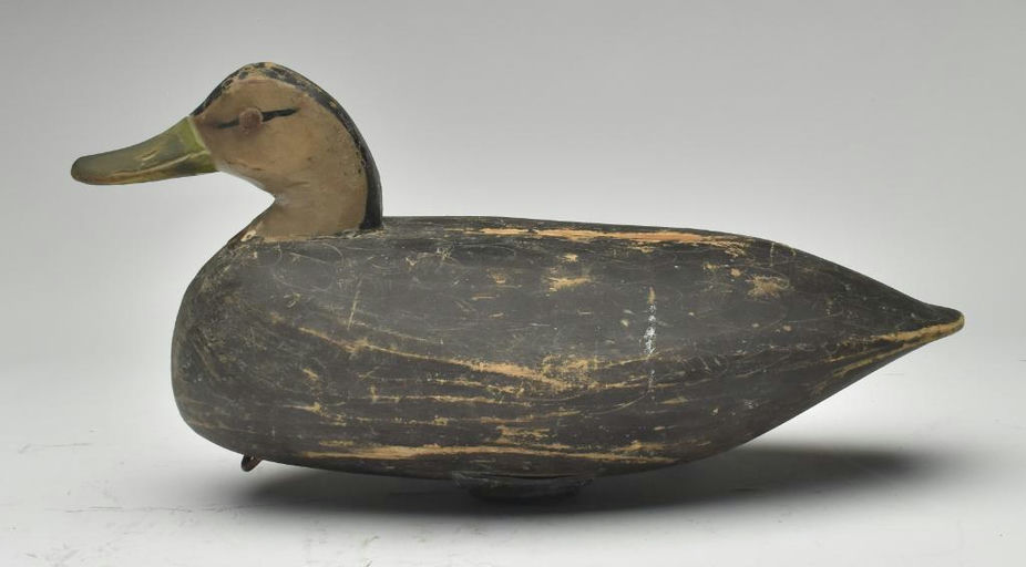 Doug Jester – Black Duck – 2023