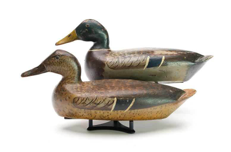 Bert Graves – Mallard – 2025
