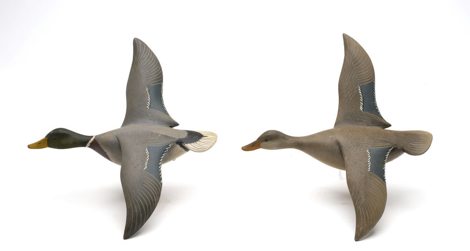 George Strunk – Pair of Mallard – 2026