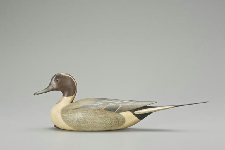 Mark McNair – Pintail Drake – 2018