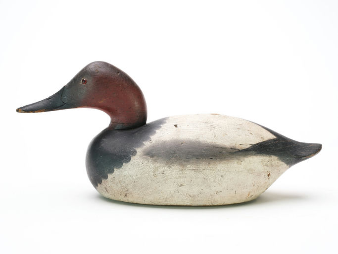 Mason Decoy Factory – Canvasback – 2025