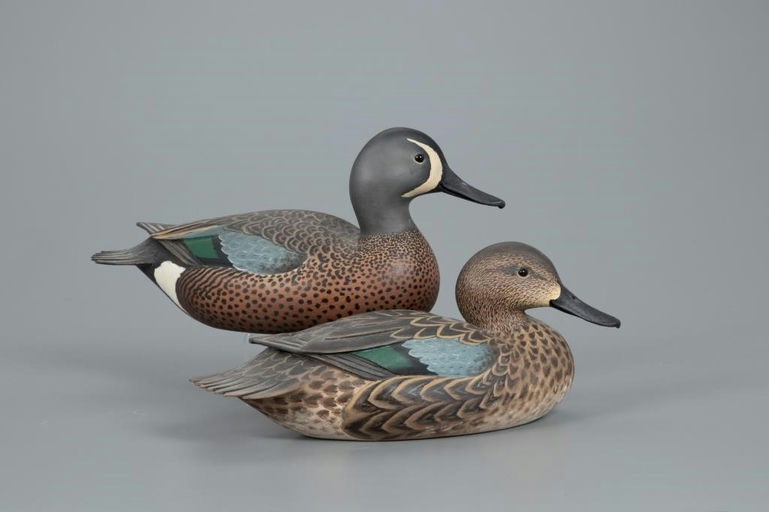 Oliver Lawson – Blue-Winged Teal Pair – 2020