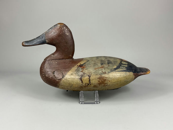 William Heverin – Canvasback – 2026