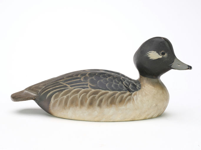 Ward Brothers – Bufflehead – 2024