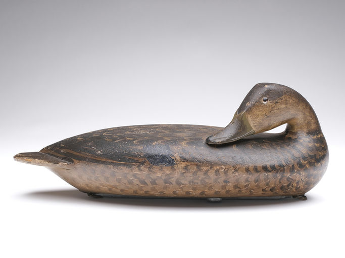 Robert Elliston – Black Duck – 2024