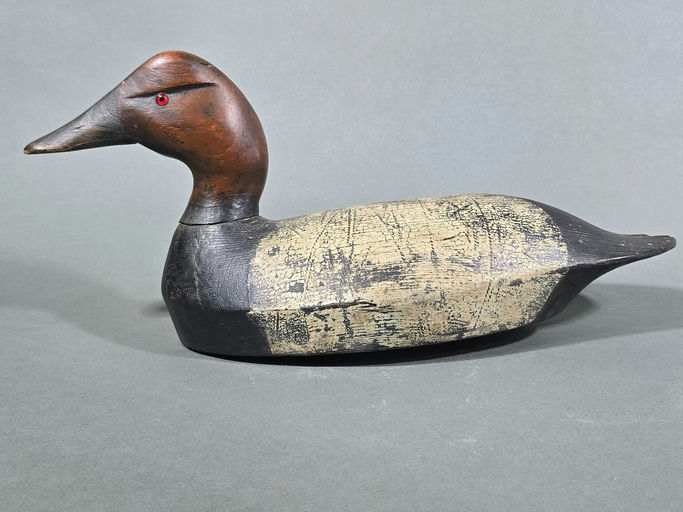 Frank Coombs – Canvasback – 2026