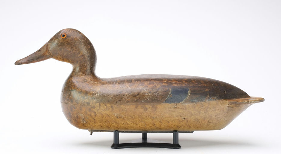 Bert Graves – Mallard – 2024