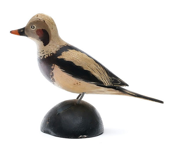 Elmer Crowell – Miniature Long Tail Duck – 2025