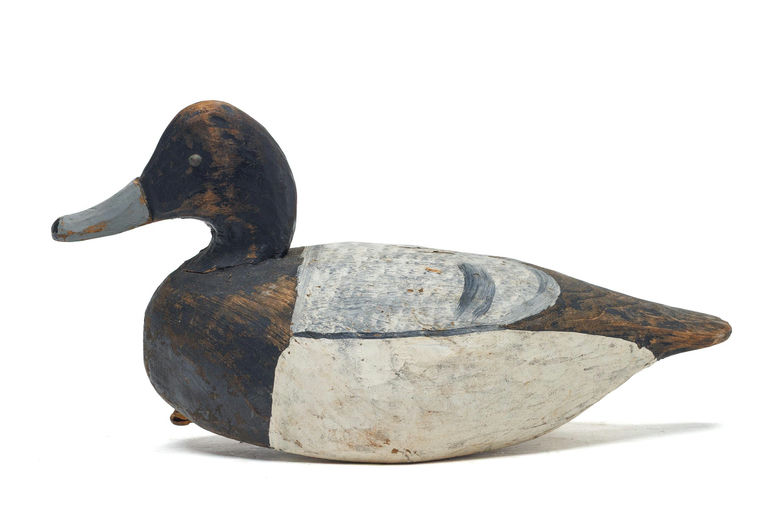 Miles Hancock – Scaup – 2026