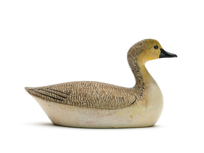 George Boyd – Goose – 2025