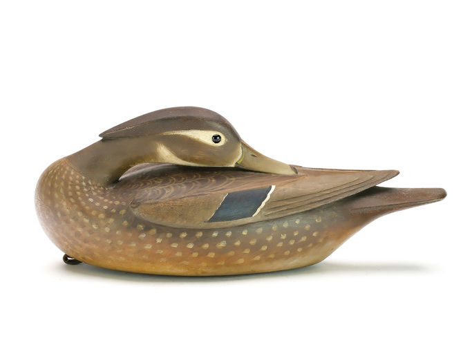 Mark McNair – Hollow Carved Preening Wood Duck – 2025