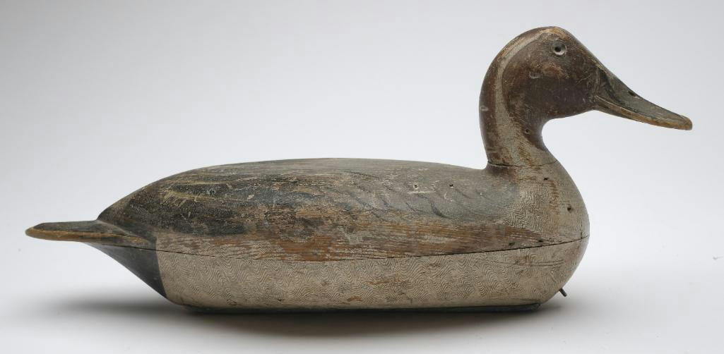 Robert Elliston – Pintail – 2023