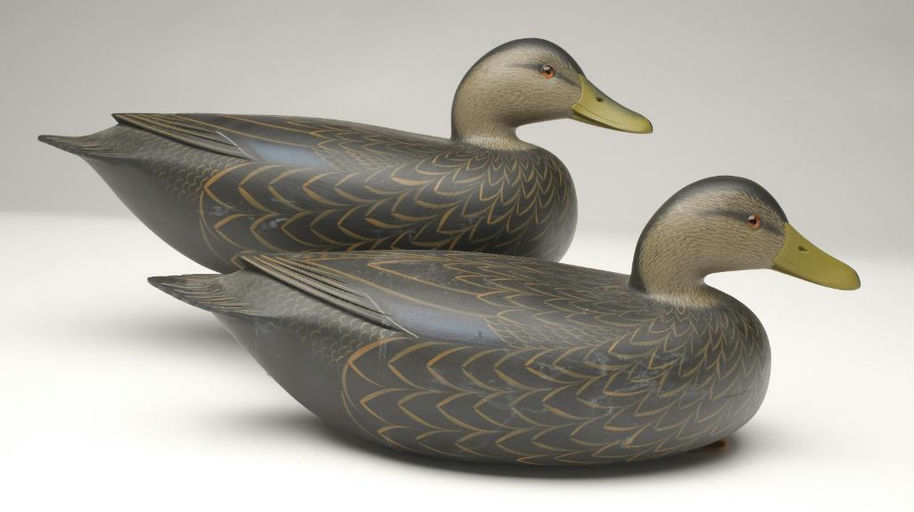 Rick Brown – Pair of Black Duck – 2023