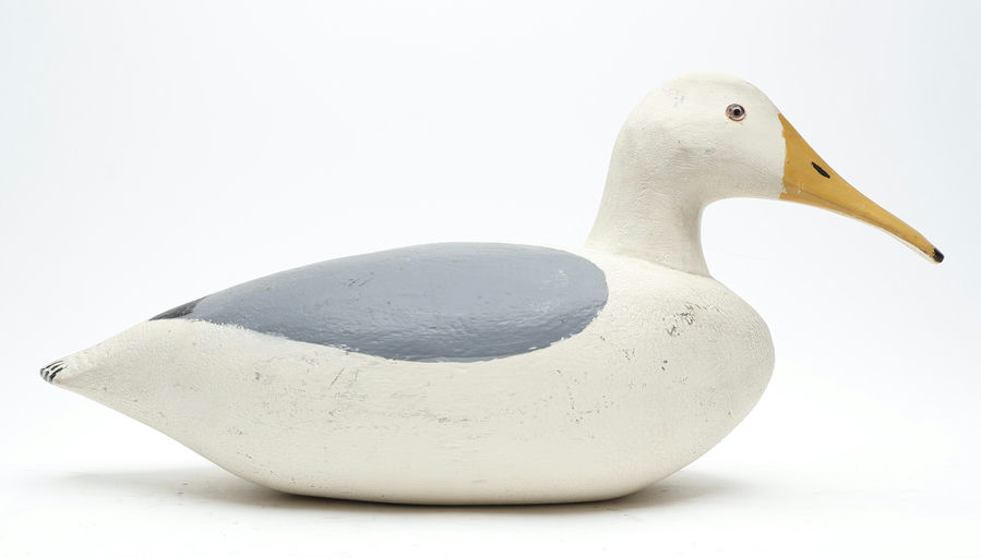 Miles Smith – Gull – 2026