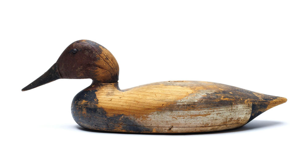 Arthur B. Vance – Canvasback – 2026