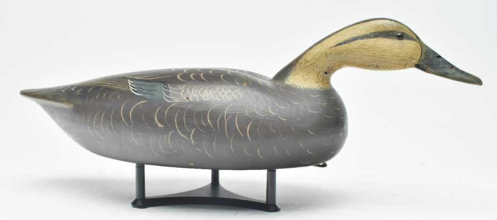 Bob White – Black Duck – 2023