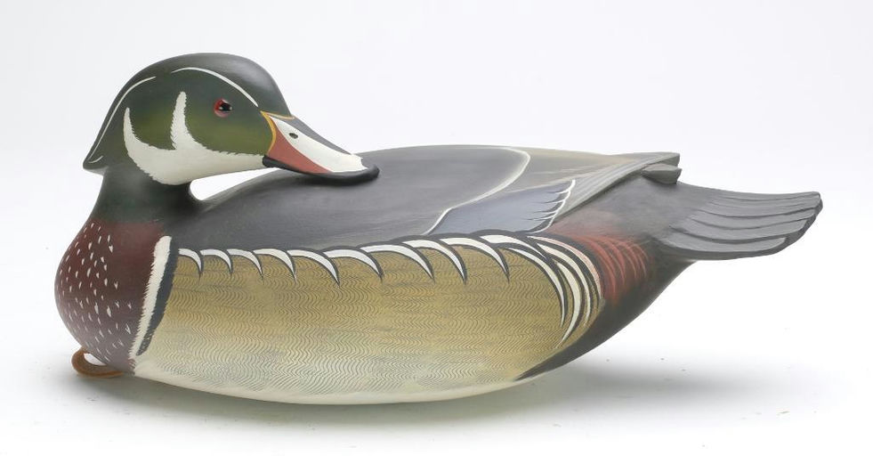 George Strunk – Preening Wood Duck – 2023