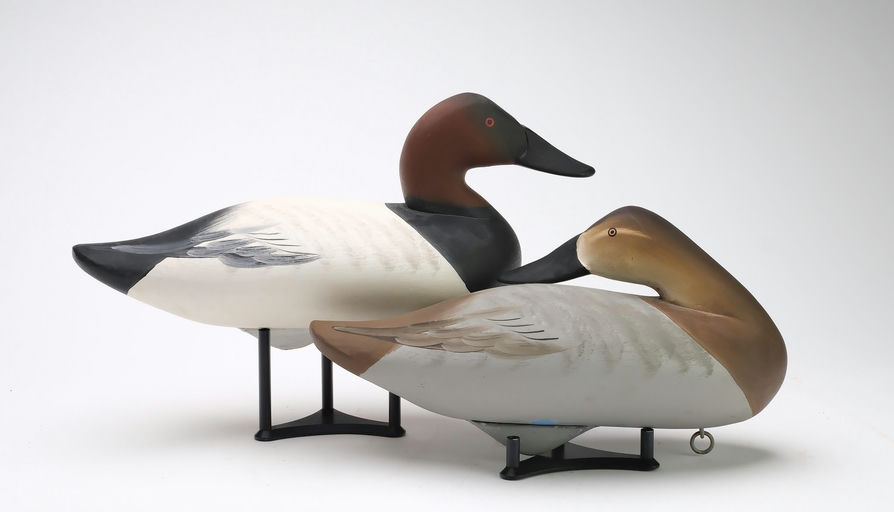 Charlie Joiner – Pair of Canvasbacks – 2025