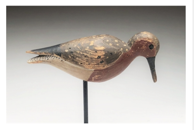 Mark McNair – Feeding Robin Snipe – 2019