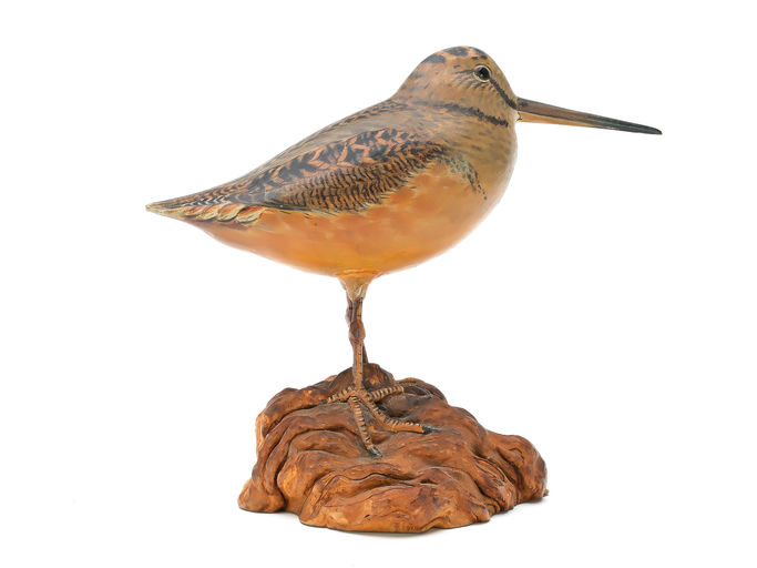 Elmer Crowell – Woodcock – 2025