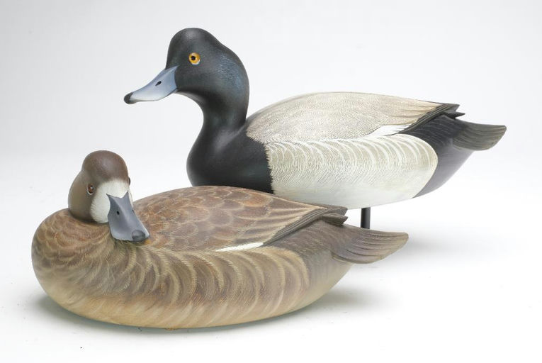 George Strunk – Pair of Bluebills – 2023