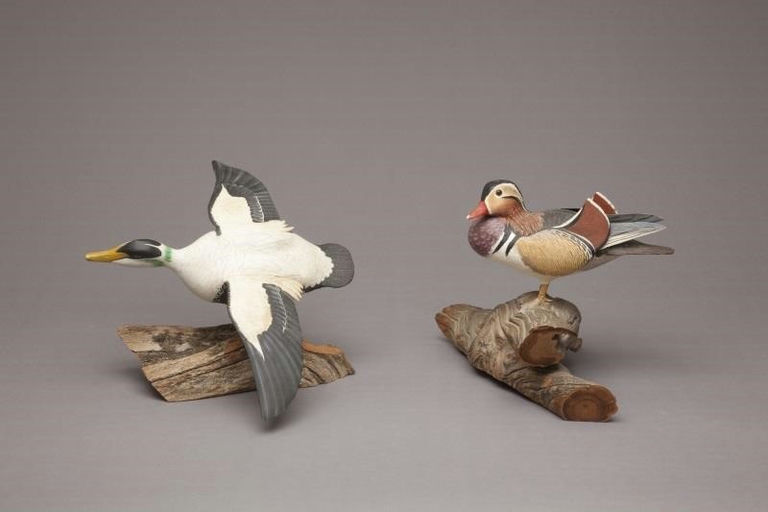 Harry A. Ross – Flying Eider and Mandarin Duck – 2011