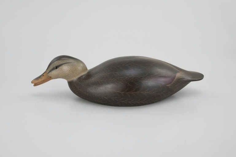 Leo McIntosh – Black Duck – 2026
