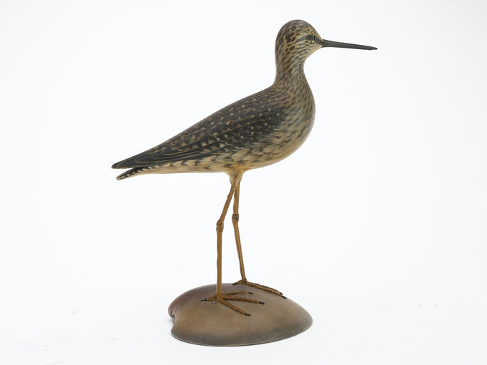 Elmer Crowell – Lesser Yellowlegs – 2024