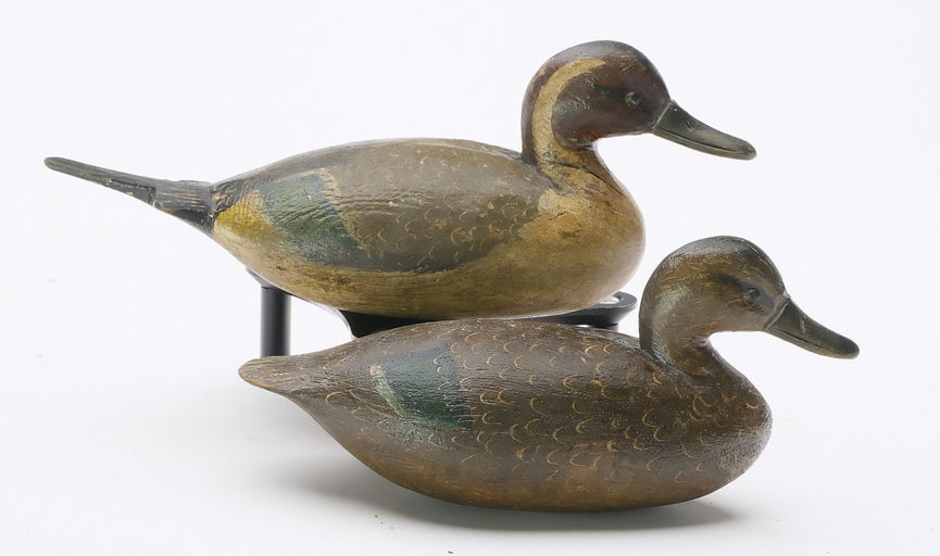 Reggie Birch – Pintail – 2024