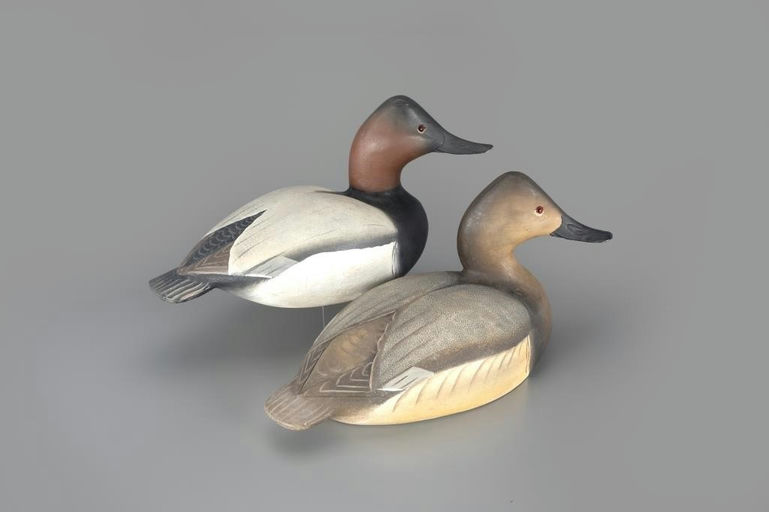 Ward Brothers – Canvasback Pair – 2024