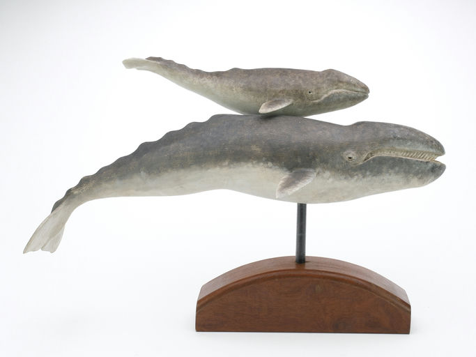 Frank Finney – Mother and calf gray whale – 2024