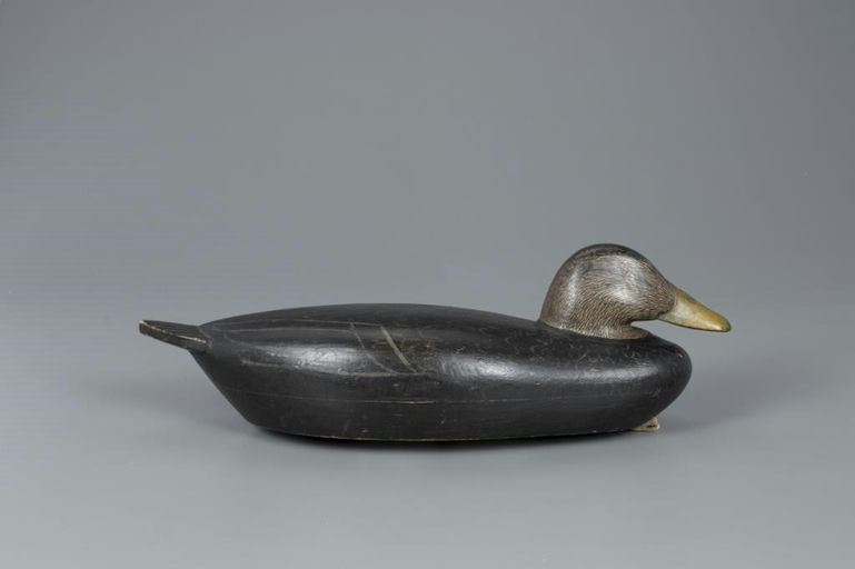 Willard C. Baldwin – Black Duck – 2020