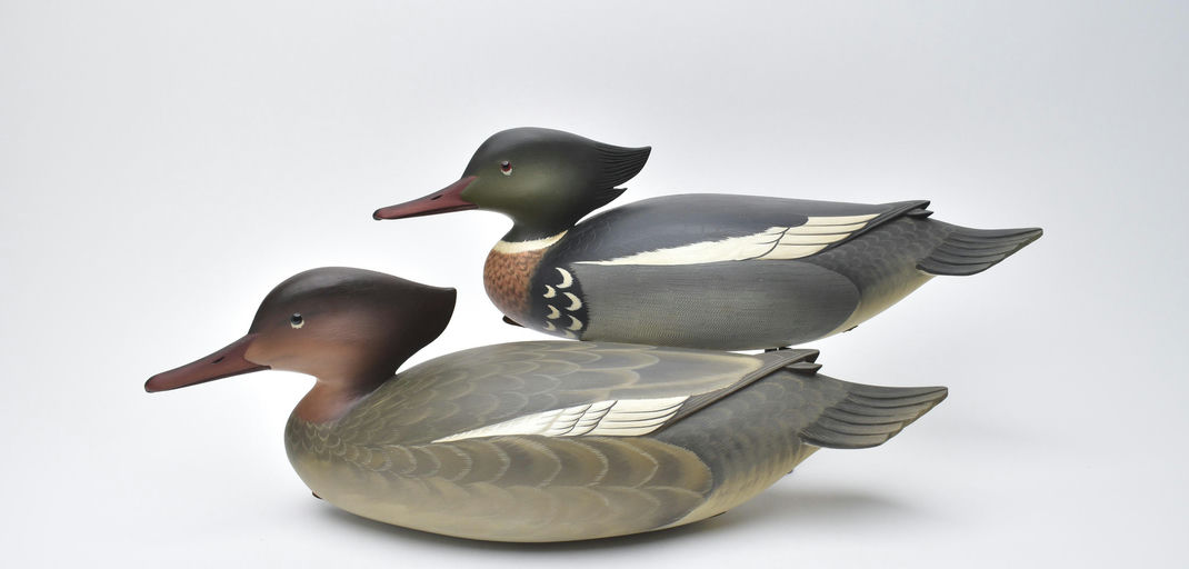 George Strunk – Pair of Merganser – 2025
