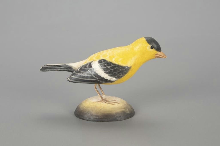 Frank Finney – American Goldfinch – 2022