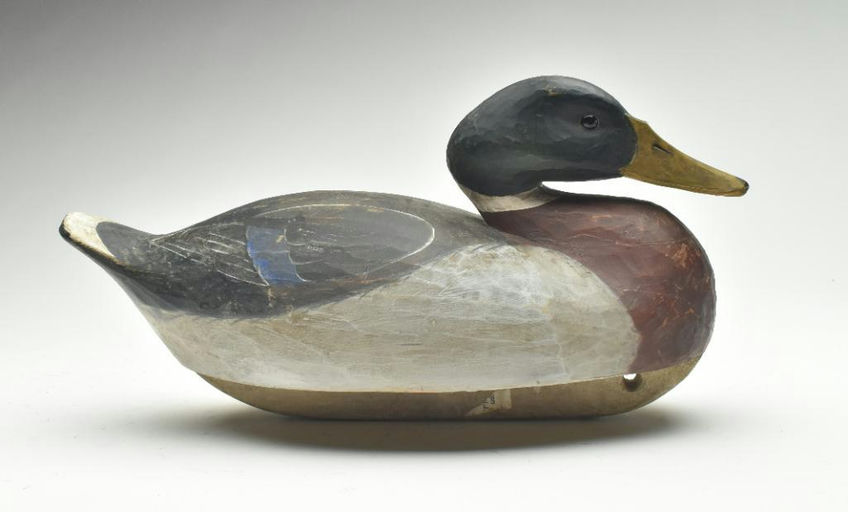 Reggie Birch – Mallard – 2023
